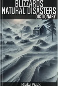 Blizzards Dictionary - eBook